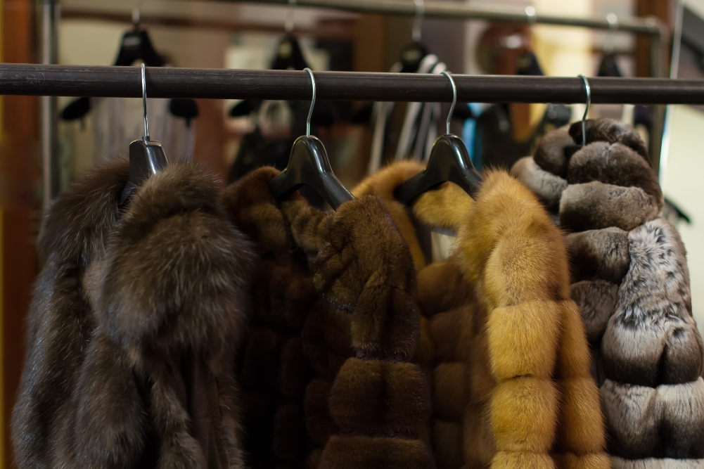 Storing Fur Coats Involves Following Some Simple, Easy Rules